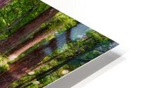 Spring in the Bayou HD Metal print