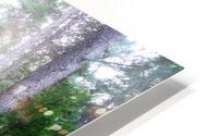 The Forest Gates HD Metal print