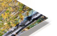Jesup Path HD Metal print
