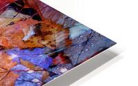 Wet Leaves HD Metal print