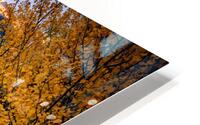 Crystal Lake HD Metal print