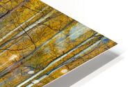 Aspenglow VI HD Metal print