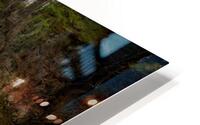 Houston Brook Cascade HD Metal print