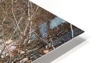 Flume Covered Bridge HD Metal print