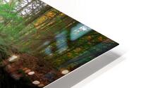Bingham Falls HD Metal print