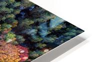 Autumn Canopy HD Metal print