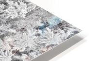 First Snow HD Metal print
