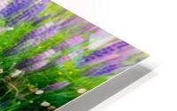 Lupines HD Metal print