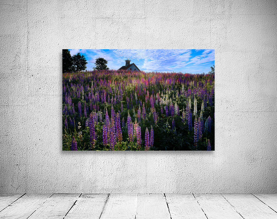Spring Colors Wall Preview