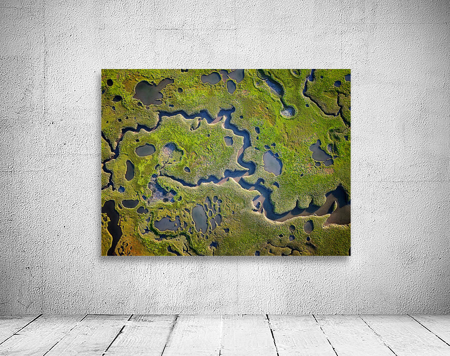 Salt Marsh Abstract Wall Preview