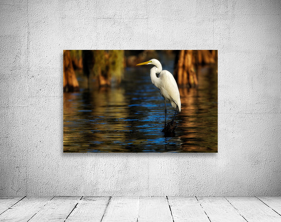 Evening Perch Wall Preview
