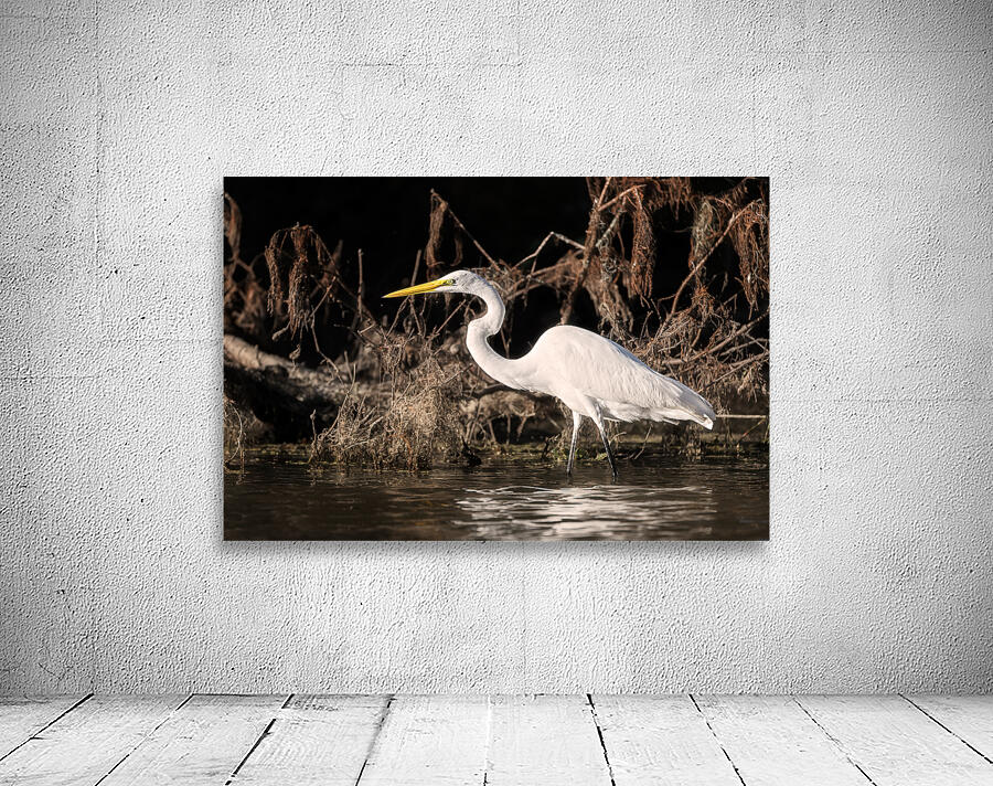 Snowy Egret Wall Preview