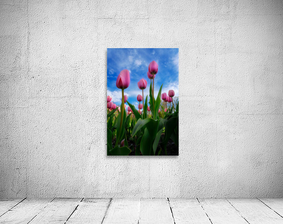 Tulip Dreams Wall Preview