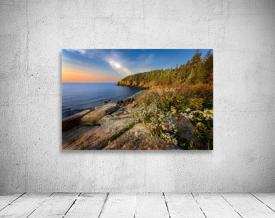Springtime Acadia Wall Preview