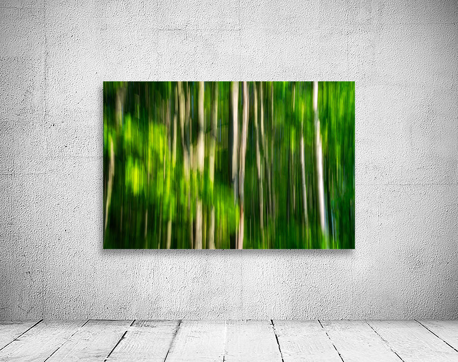 Spring Birches Abstract Wall Preview