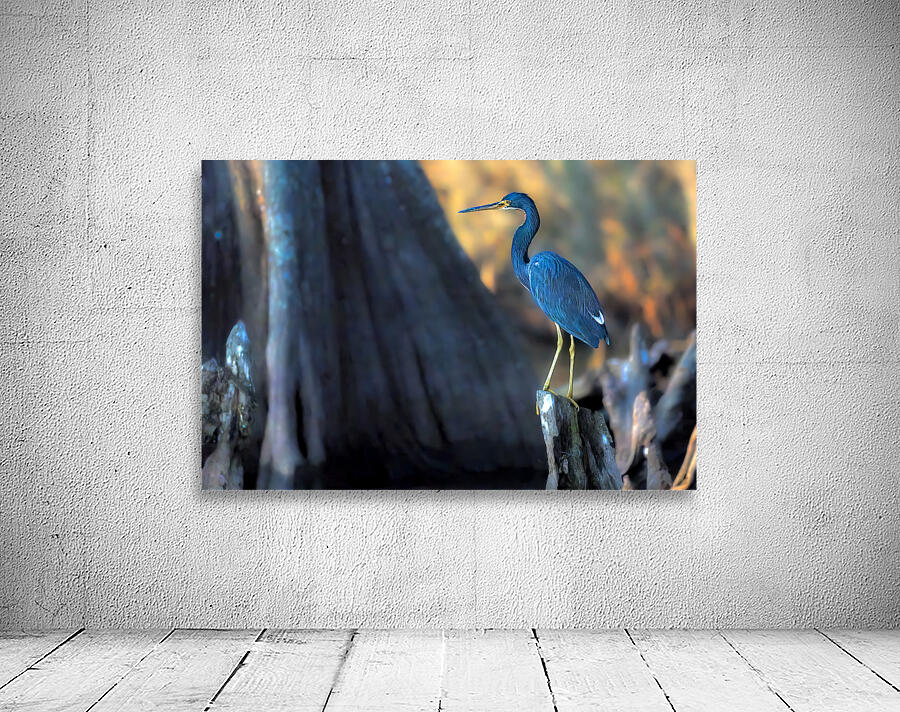 Feeling Blue Too Wall Preview