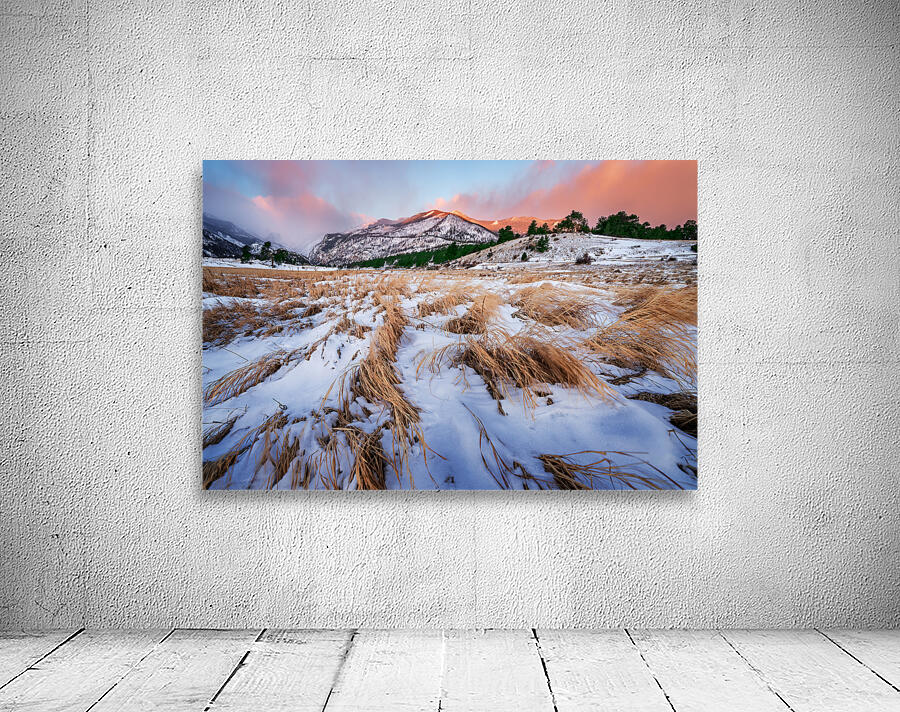Winter on the Plain Wall Preview