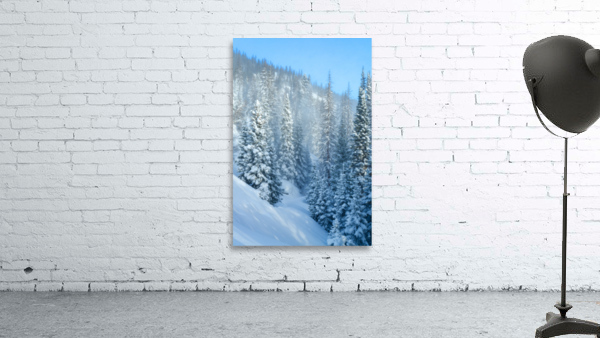 Snowy Spruces Wall Preview