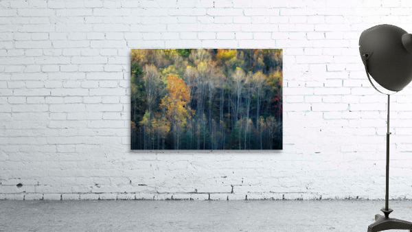 Stay Gold Wall Preview