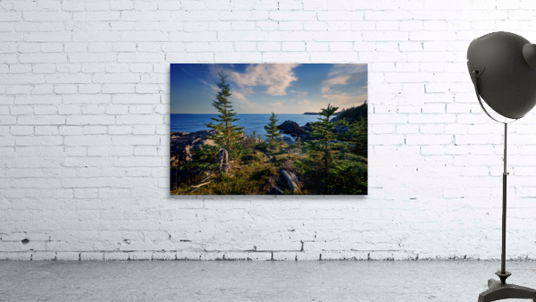 Hamilton Cove Wall Preview