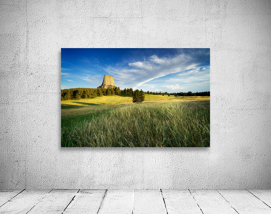 Devils Tower Wall Preview
