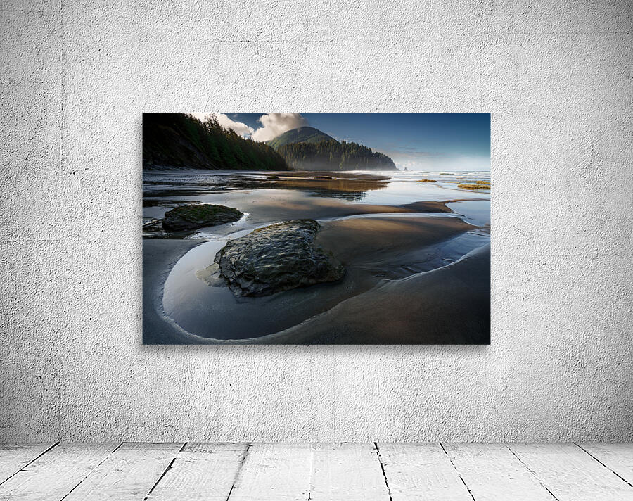 Tidal Treasures Wall Preview