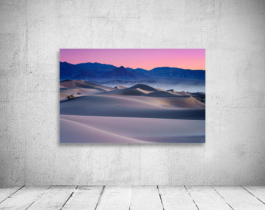 Mesquite Twilight Wall Preview