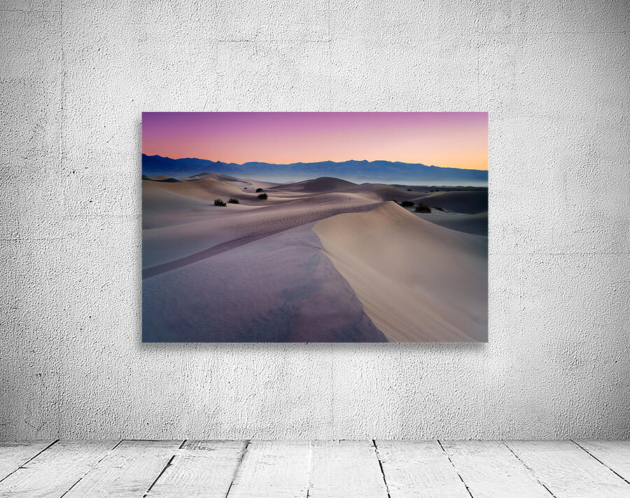 Into The Dunes Wall Preview