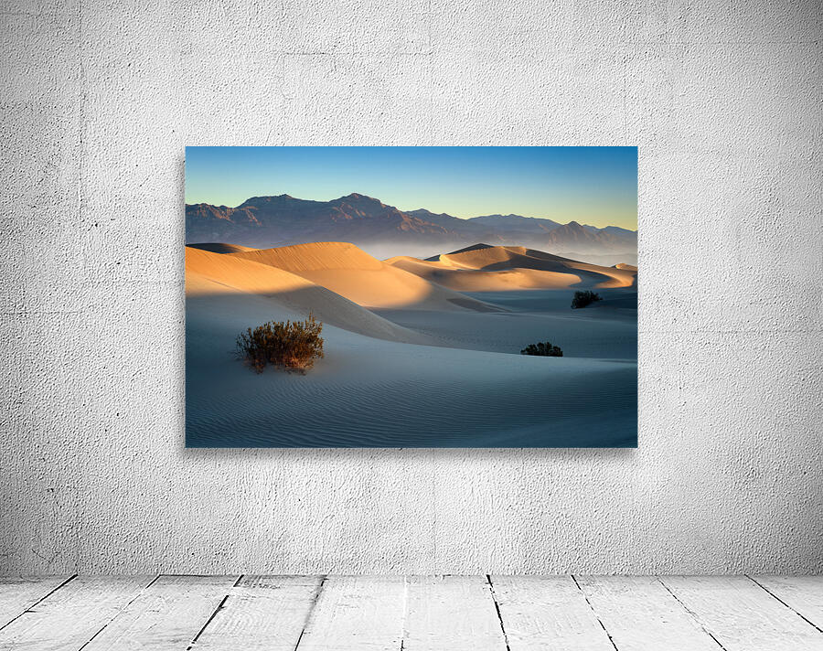Mesquite Dunes Wall Preview