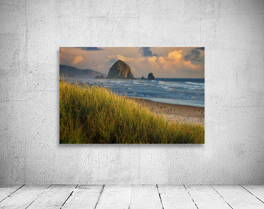 Summer Evening at Haystack Rock Wall Preview