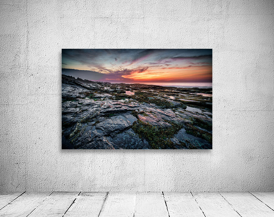 Low Tide at Two Lights Wall Preview