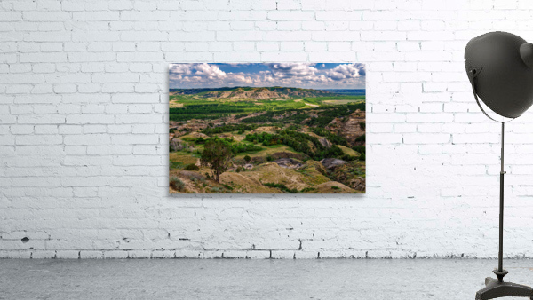 Oxbow Overlook Wall Preview