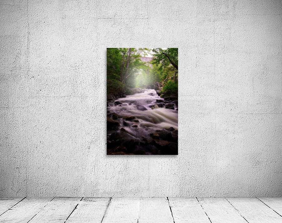 Spring Flow at Duck Brook Wall Preview