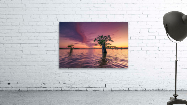 Atchafalaya Sunset Wall Preview