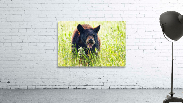 Im Hangry! Wall Preview