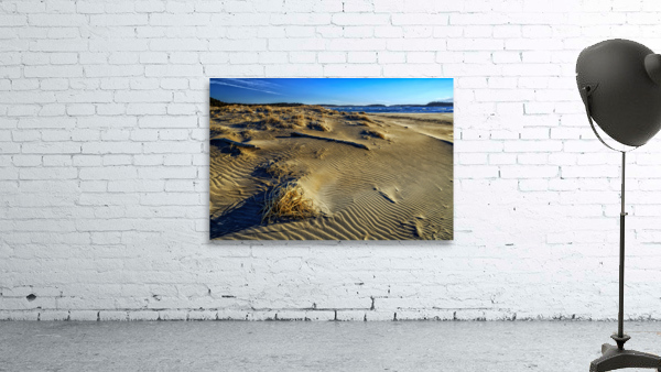 Popham Beach Wall Preview