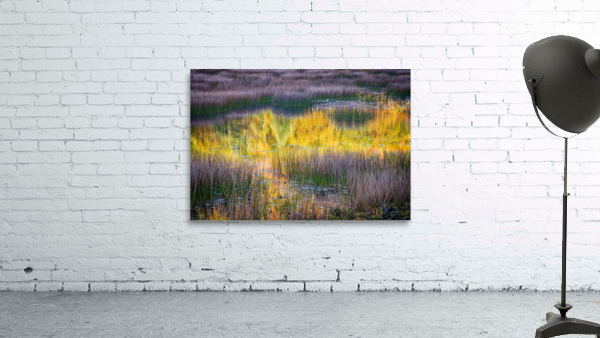 The Tarn Wall Preview