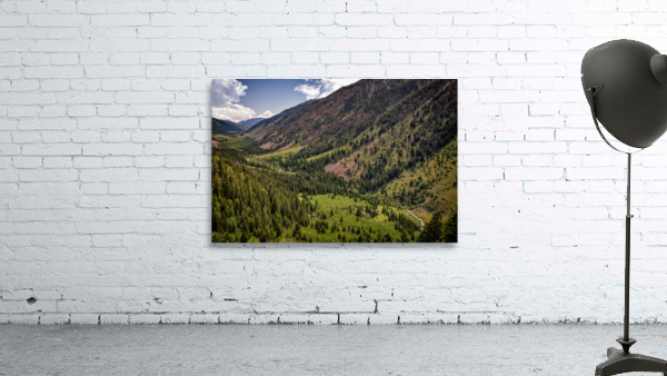 Sun Valley II Wall Preview