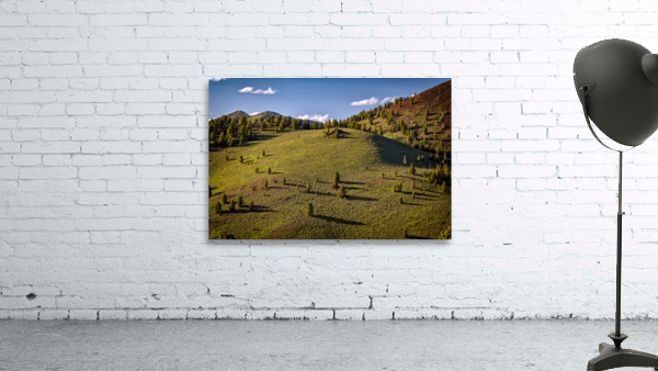 Galena Summit Wall Preview