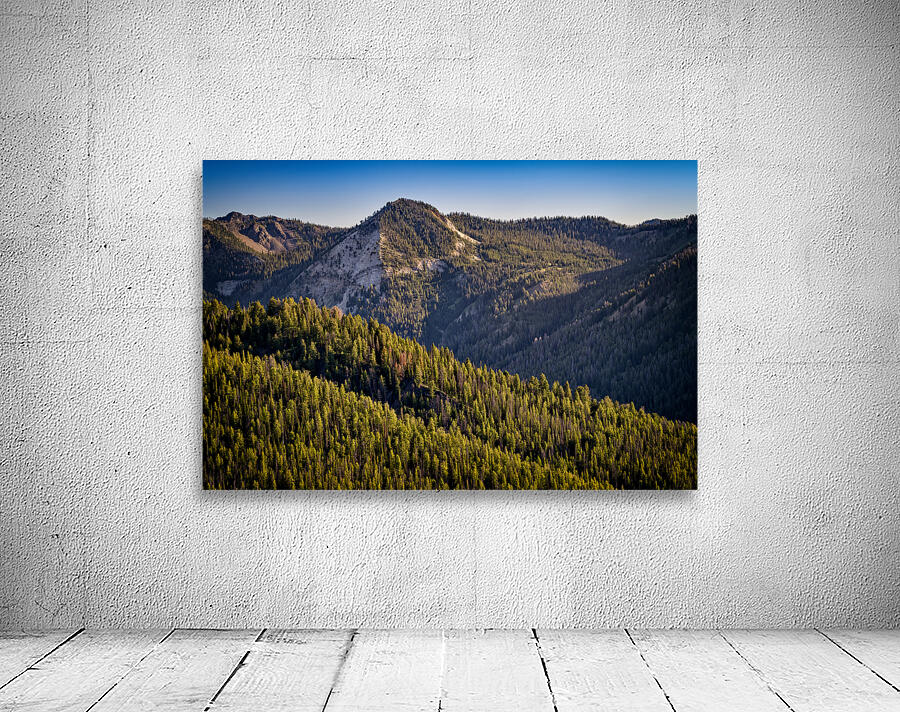 Sawtooth Foothills Wall Preview