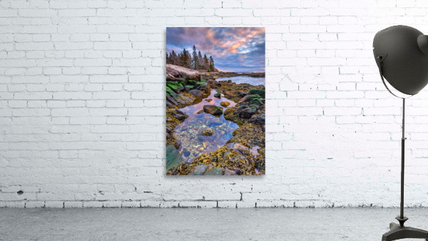 Tidal Serenity Wall Preview