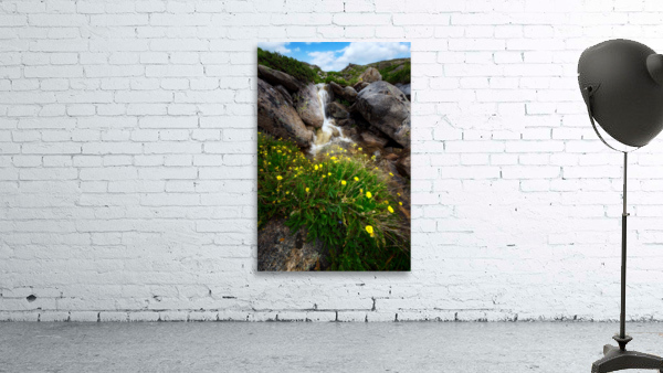Alpine Cascade Wall Preview