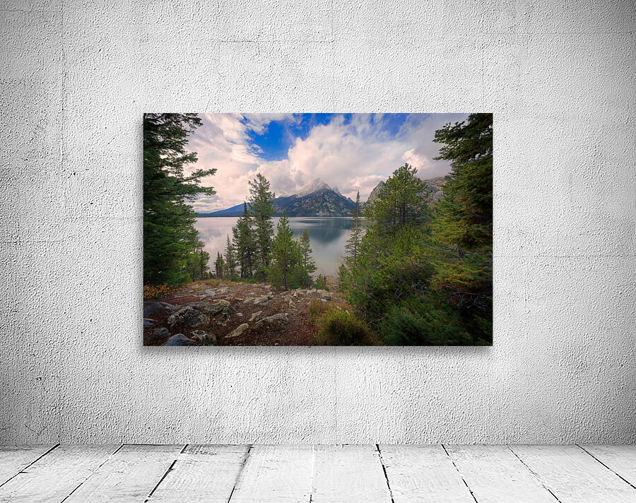 Jenny Lake Wall Preview