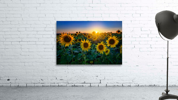 Aroostook Sunset Wall Preview