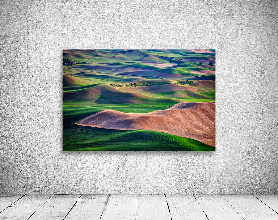 Undulation Wall Preview