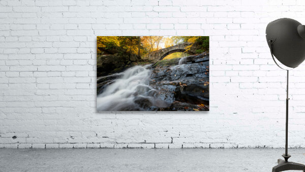 Vaughan Woods Wall Preview