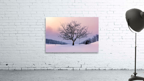 Winter Twilight Wall Preview