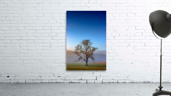 Autumn Glow Wall Preview