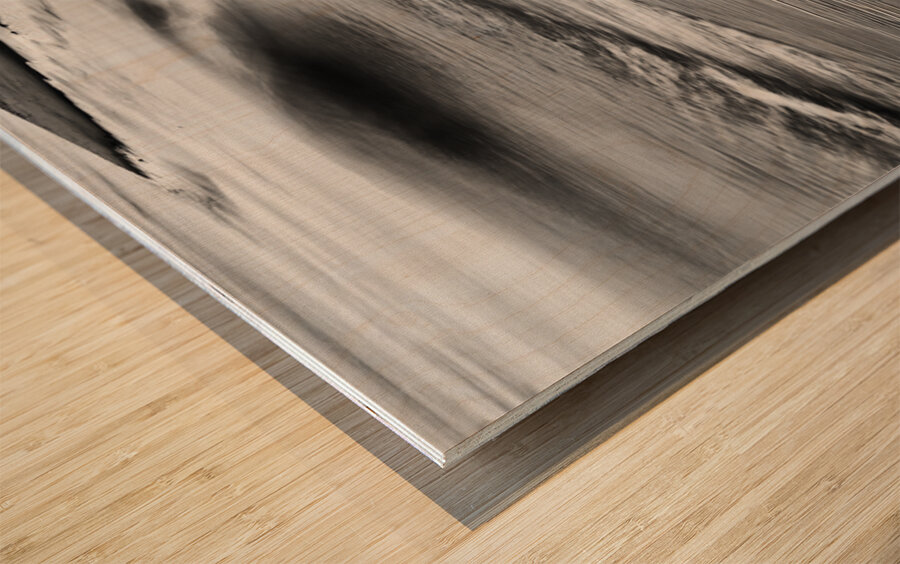 Popham Shoreline Wood print