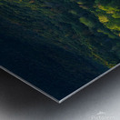 Shenandoah Forest Sunset Metal print